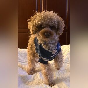 Meet your Posher, Mary